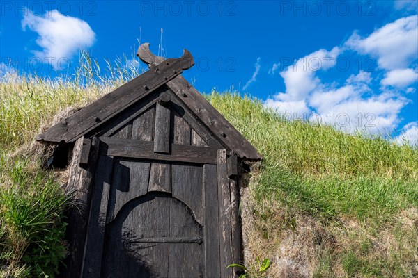 Entrance door