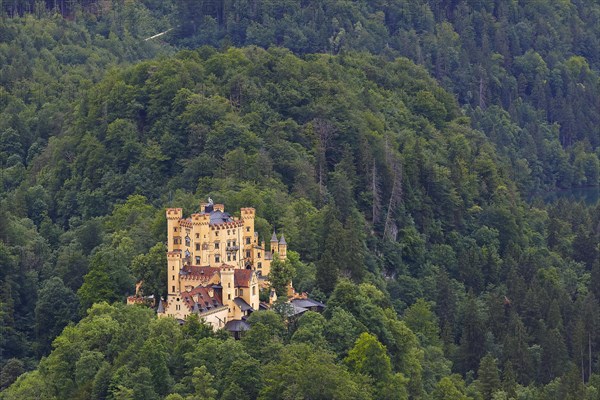 Hohenschwangau Castle