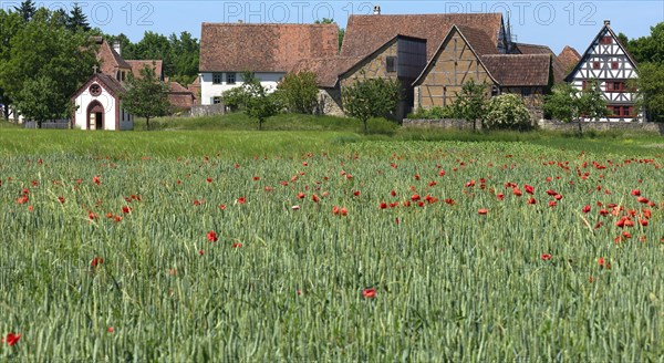 Historic farmhouses