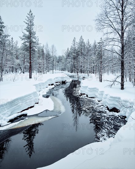 Icy river with spruces and snow