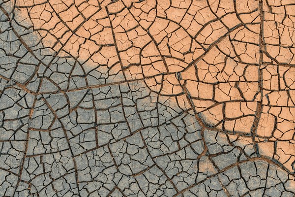 Cracks in the clay soil form mosaic-like structure