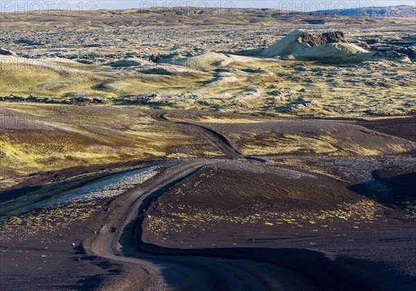 Unpaved road leads through moss-covered Laki Crater or Lakagigar