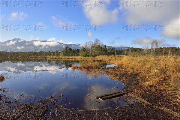 Fog over moor landscape