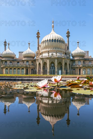 Royal Pavilion palace reflected in a pond with water lilies