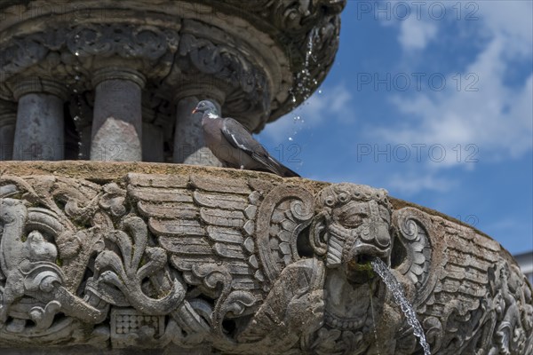 Roland Fountain