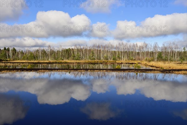 Cloud reflection in moor pond