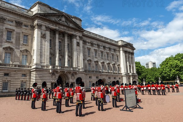 Guards of the Royal Guard with bearskin cap