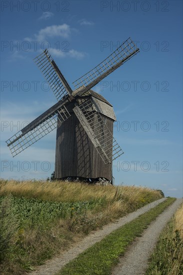 Old windmill build in 1792 at country road and field of sugar beets at Jordberga