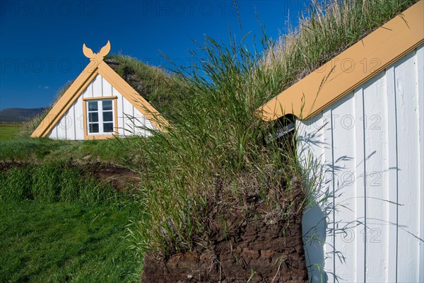 Grass sod houses