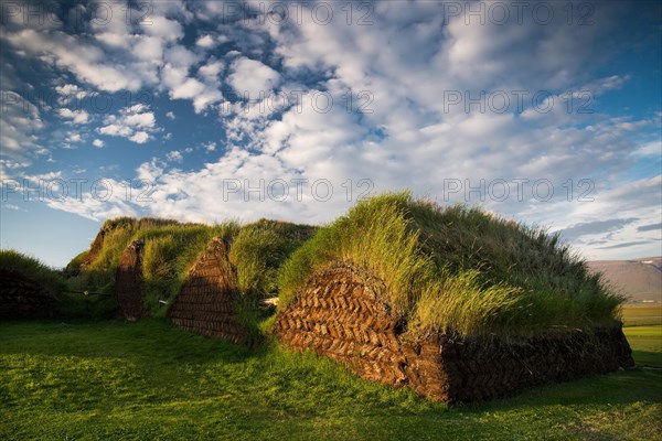 Grass sod houses