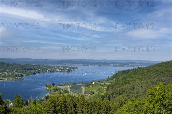 View of Lake Constance near Stein am Rhein