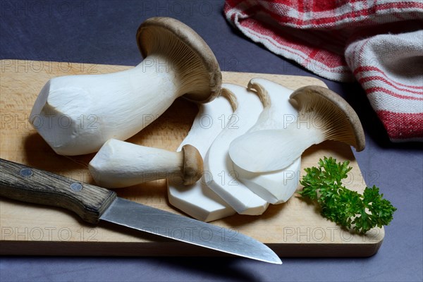 King trumpet mushrooms (Pleurotus eryngii)