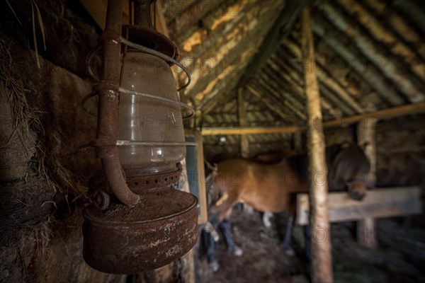 Old oil lamp in horse stable in original peat construction