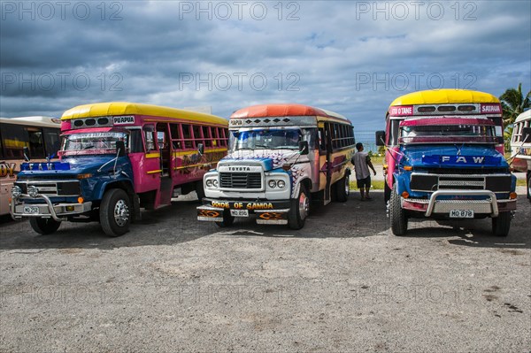 Local bus fleet waiting for the ferry in SavaiÂ´i