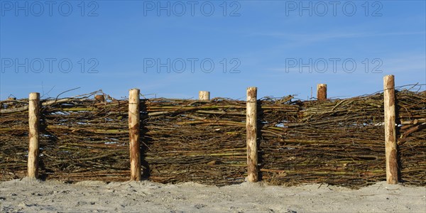 Fence made of brushwood branches for coastal protection