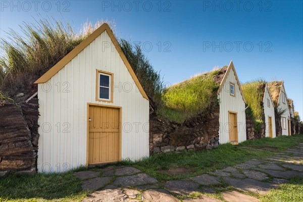 Grass sod houses