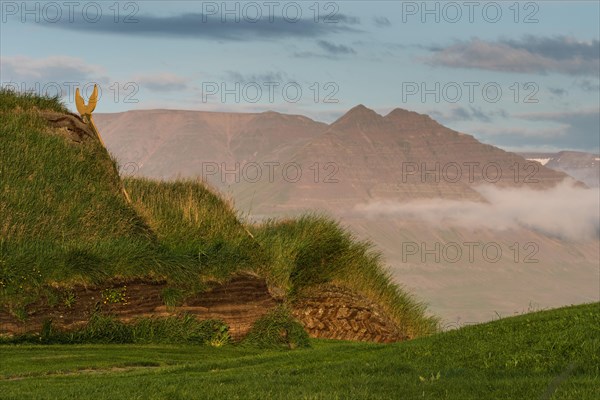 Grass sod houses