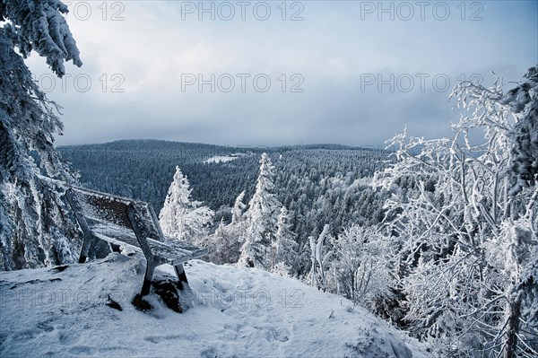 Frozen bench