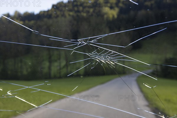 Shattered windscreen due to hailstones on a car