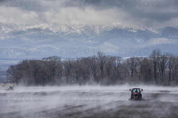 Tractor seeding a field while it is vaporating from the warm ground