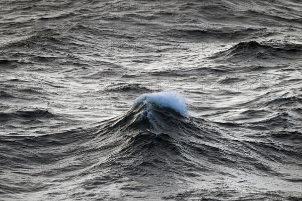 Single wave with spray on high sea
