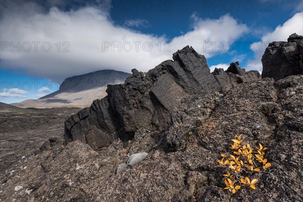 Solidified lava