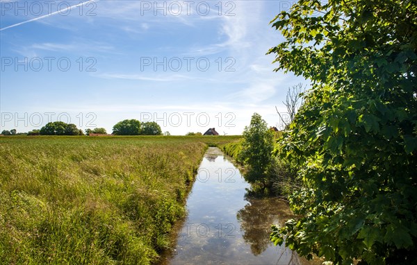 Drainage ditch in Nessmersiel