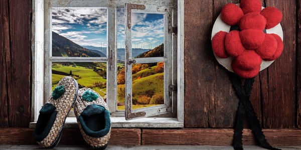 View from a wooden window