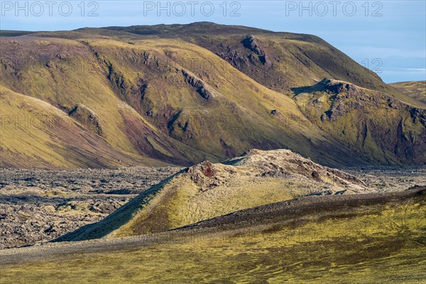 Moss-covered Laki crater or Lakagigar