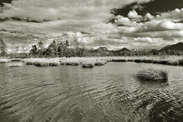 Water surface rippled by wind on pond in moor landscape