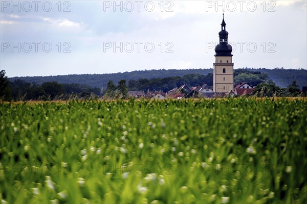 Field and church spire