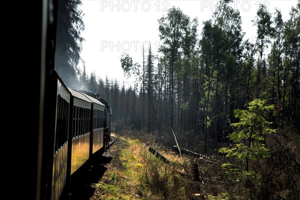 Harz narrow gauge railway