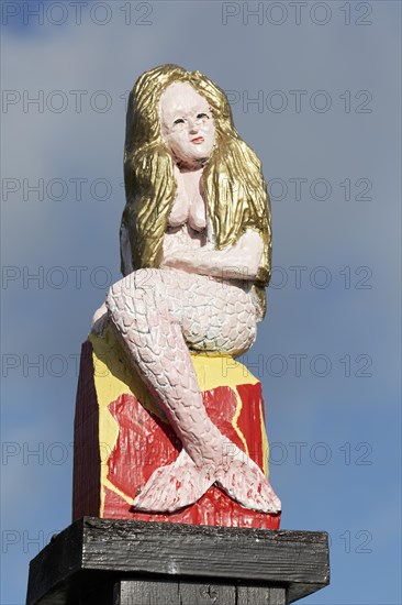 Mermaid