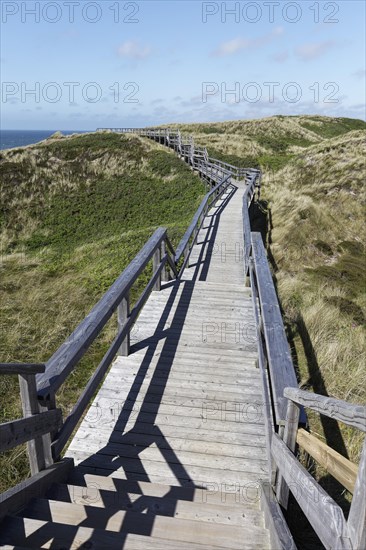 Dune walkway on boardwalks