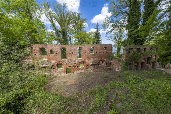 Ruins of Arendsee Monastery