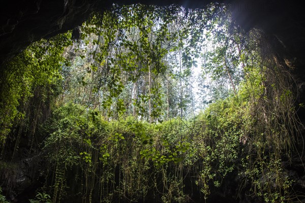 Cave system in the Virunga National Park