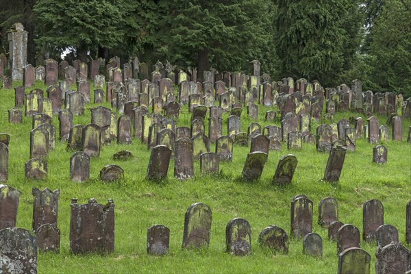 Historic Jewish cemetery