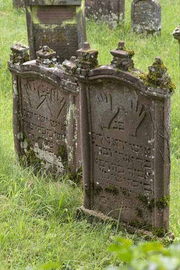 Gravestones with the symbol of the Priests' hands at the historic Jewish Cemetery