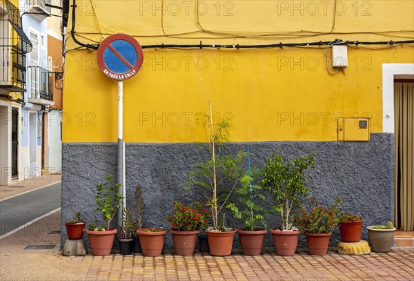 No waiting road sign and flowerpots in front of yellow wall