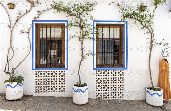 Windows and flowerpots