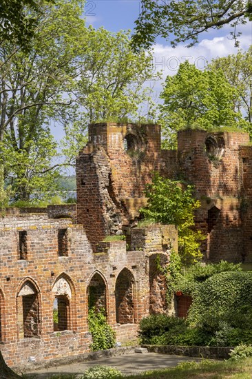 Ruins of Arendsee Monastery