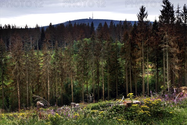 View of Brocken