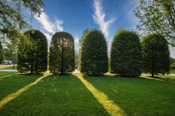 Nature in a Park Galitskogo