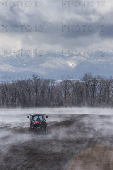 Tractor seeding a field while it is vaporating from the warm ground