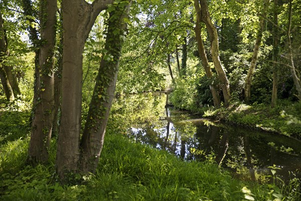 Floodplain landscape with the Erft in spring