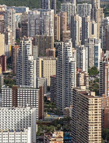 Skyscrapers of Benidorm as seen from La Creu