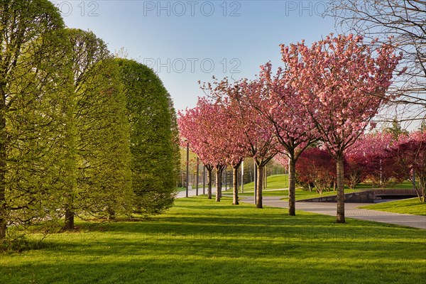 Park Galitskogo