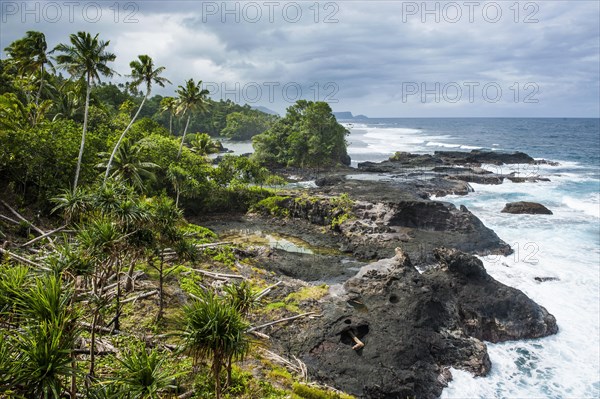 Wild rocky coast of Upolo