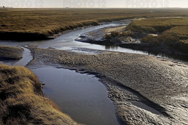 Tideways in the Wadden Sea