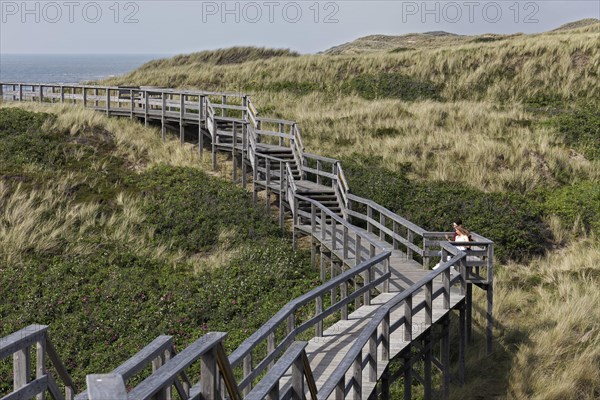 Dune hiking trail on boardwalks